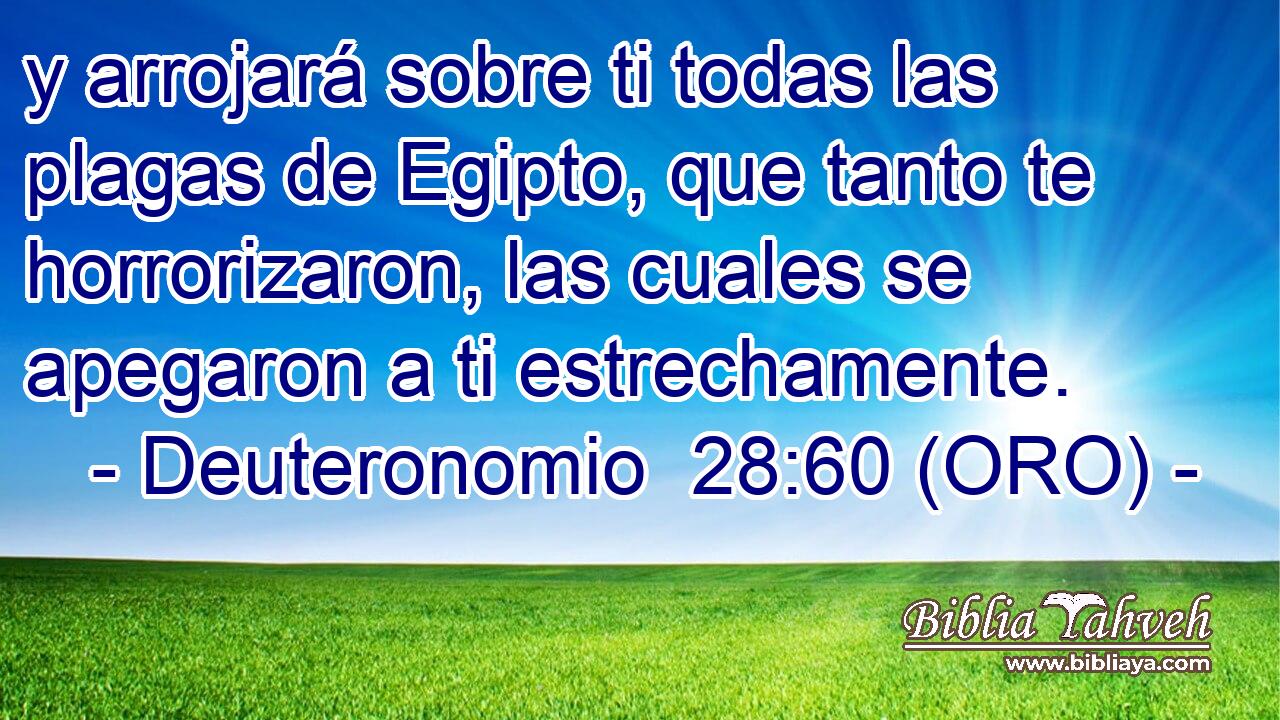  y arrojará sobre ti todas las plagas de Egipto, que tanto te horrorizaron, las cuales se apegaron a ti estrechamente. 
