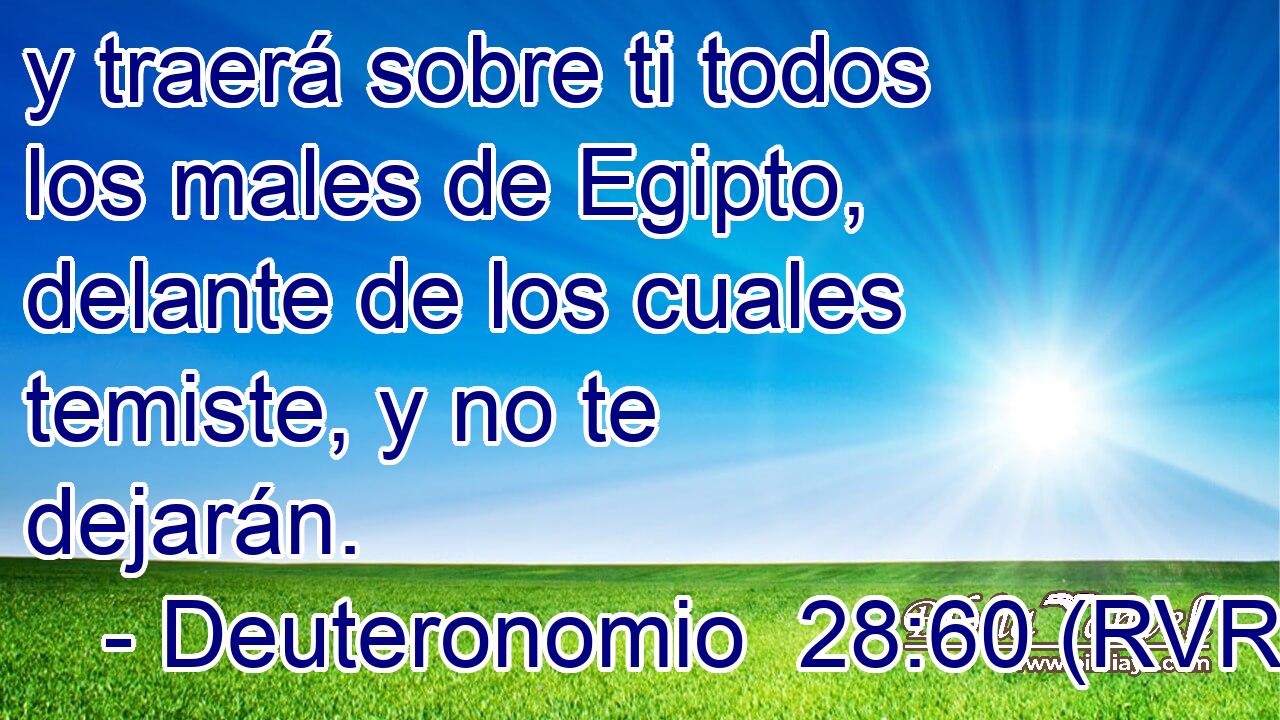 y traerá sobre ti todos los males de Egipto, delante de los cuales temiste, y no te dejarán.