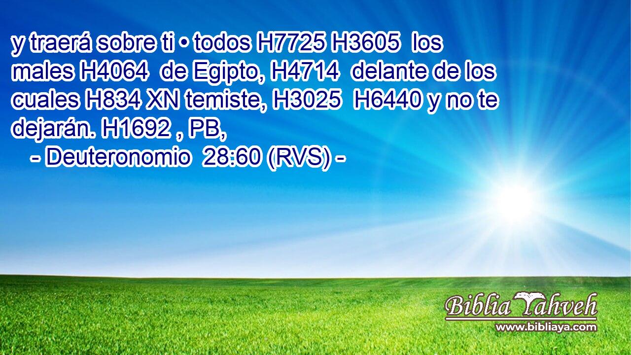 y traerá sobre ti • todos H7725 H3605  los males H4064  de Egipto, H4714  delante de los cuales H834 XN temiste, H3025  H6440 y no te dejarán. H1692 , PB,  