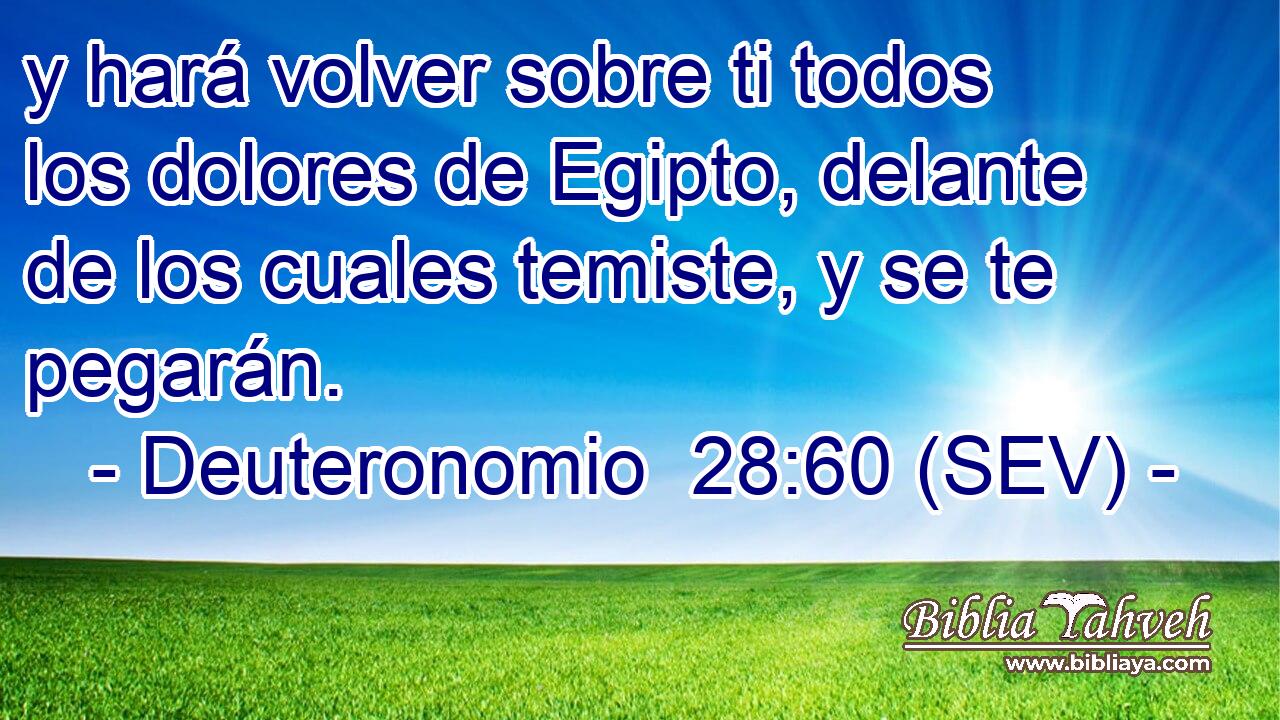 y hará volver sobre ti todos los dolores de Egipto, delante de los cuales temiste, y se te pegarán.
