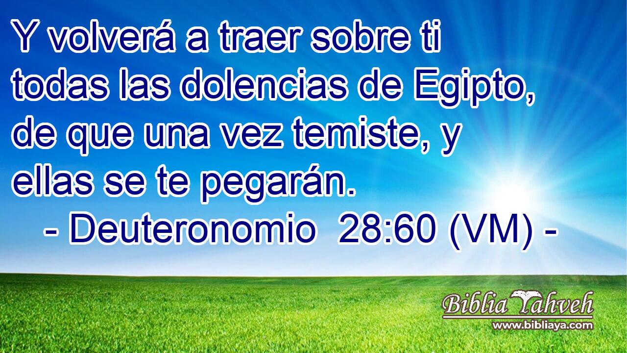  Y volverá a traer sobre ti todas las dolencias de Egipto, de que una vez temiste, y ellas se te pegarán. 