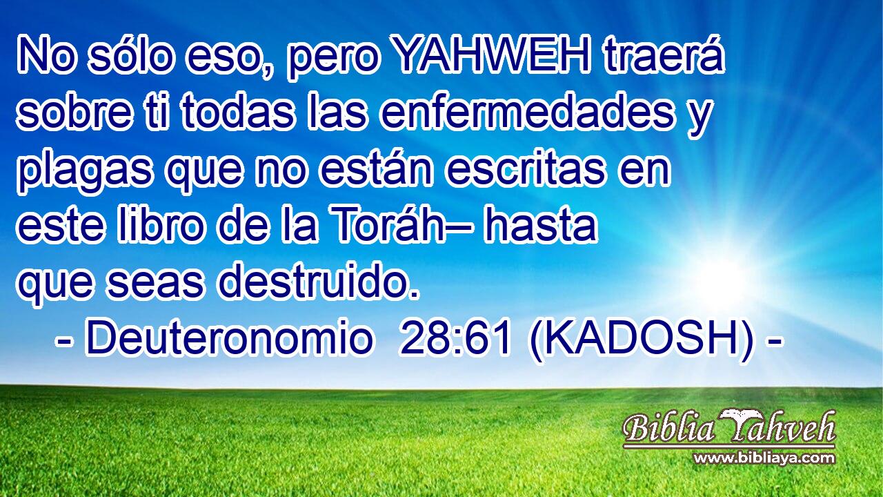  No sólo eso, pero YAHWEH traerá sobre ti todas las enfermedades y plagas que no están escritas en este libro de la Toráh– hasta que seas destruido. 