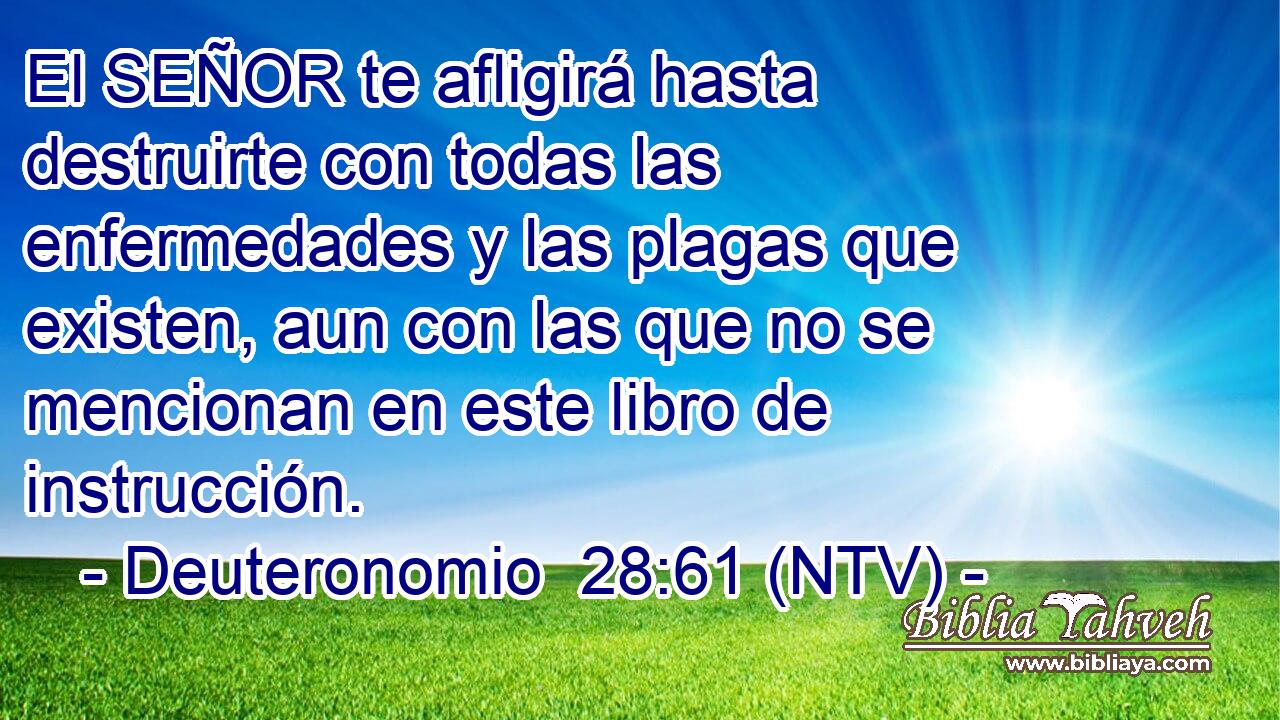 El SEÑOR te afligirá hasta destruirte con todas las enfermedades y las plagas que existen, aun con las que no se mencionan en este libro de instrucción.