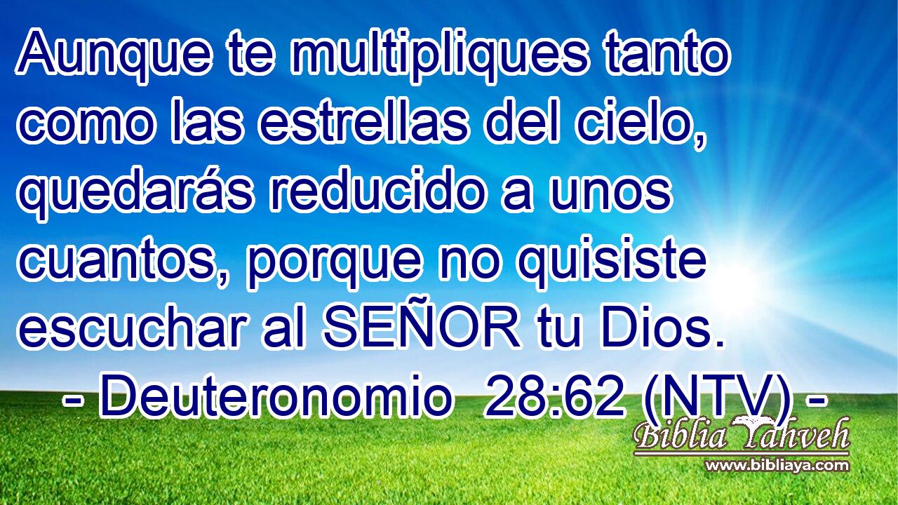 Aunque te multipliques tanto como las estrellas del cielo, quedarás reducido a unos cuantos, porque no quisiste escuchar al SEÑOR tu Dios.