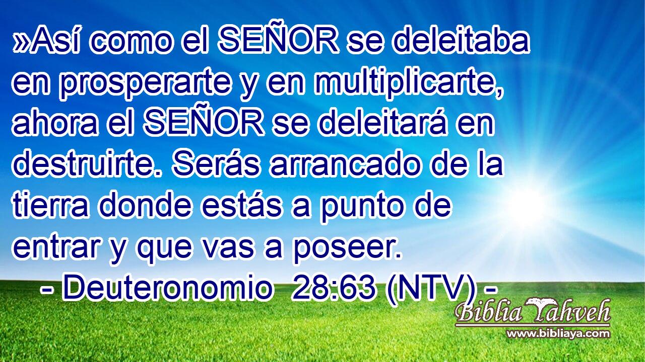 »Así como el SEÑOR se deleitaba en prosperarte y en multiplicarte, ahora el SEÑOR se deleitará en destruirte. Serás arrancado de la tierra donde estás a punto de entrar y que vas a poseer.