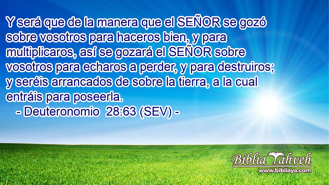 Y será que de la manera que el SEÑOR se gozó sobre vosotros para haceros bien, y para multiplicaros, así se gozará el SEÑOR sobre vosotros para echaros a perder, y para destruiros; y seréis arrancados de sobre la tierra, a la cual entráis para poseerla.
