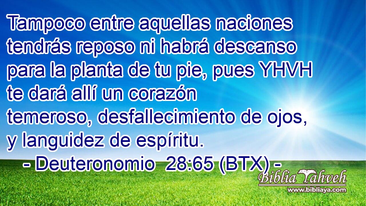 Tampoco entre aquellas naciones tendrás reposo ni habrá descanso para la planta de tu pie, pues YHVH te dará allí un corazón temeroso, desfallecimiento de ojos, y languidez de espíritu.