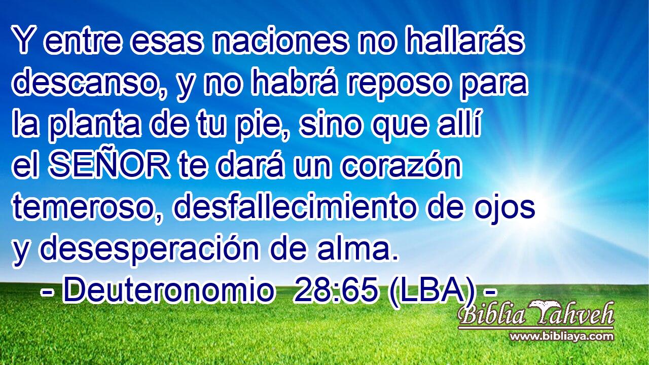 Y entre esas naciones no hallarás descanso, y no habrá reposo para la planta de tu pie, sino que allí el SEÑOR te dará un corazón temeroso, desfallecimiento de ojos y desesperación de alma.
