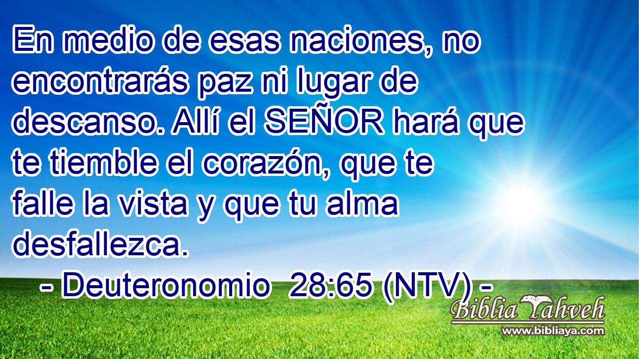 En medio de esas naciones, no encontrarás paz ni lugar de descanso. Allí el SEÑOR hará que te tiemble el corazón, que te falle la vista y que tu alma desfallezca.