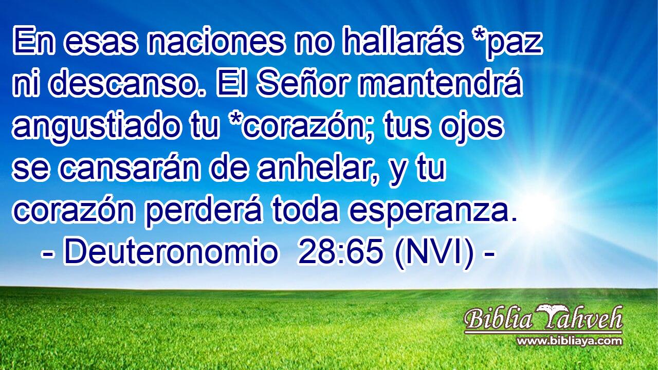  En esas naciones no hallarás *paz ni descanso. El Señor mantendrá angustiado tu *corazón; tus ojos se cansarán de anhelar, y tu corazón perderá toda esperanza. 
