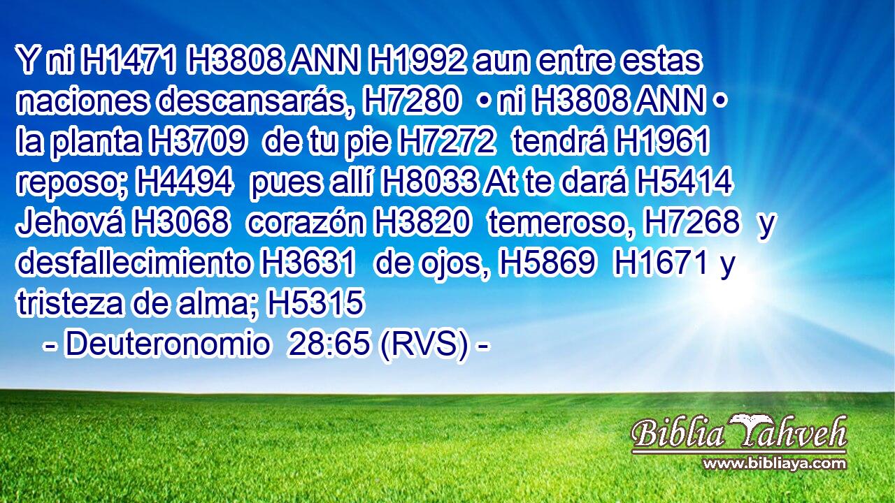 Y ni H1471 H3808 ANN H1992 aun entre estas naciones descansarás, H7280  • ni H3808 ANN • la planta H3709  de tu pie H7272  tendrá H1961  reposo; H4494  pues allí H8033 At te dará H5414  Jehová H3068  corazón H3820  temeroso, H7268  y desfallecimiento H3631  de ojos, H5869  H1671 y tristeza de alma; H5315  