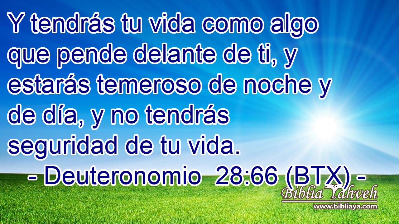 Y tendrás tu vida como algo que pende delante de ti, y estarás temeroso de noche y de día, y no tendrás seguridad de tu vida.