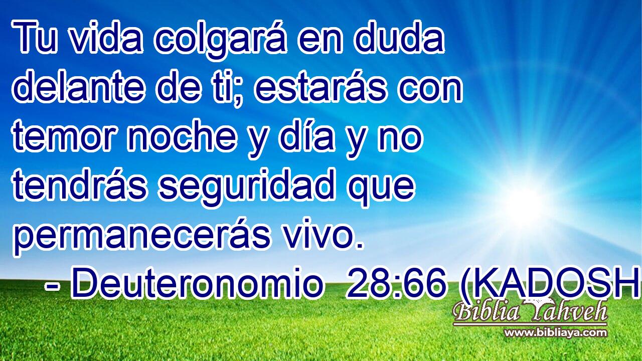  Tu vida colgará en duda delante de ti; estarás con temor noche y día y no tendrás seguridad que permanecerás vivo. 