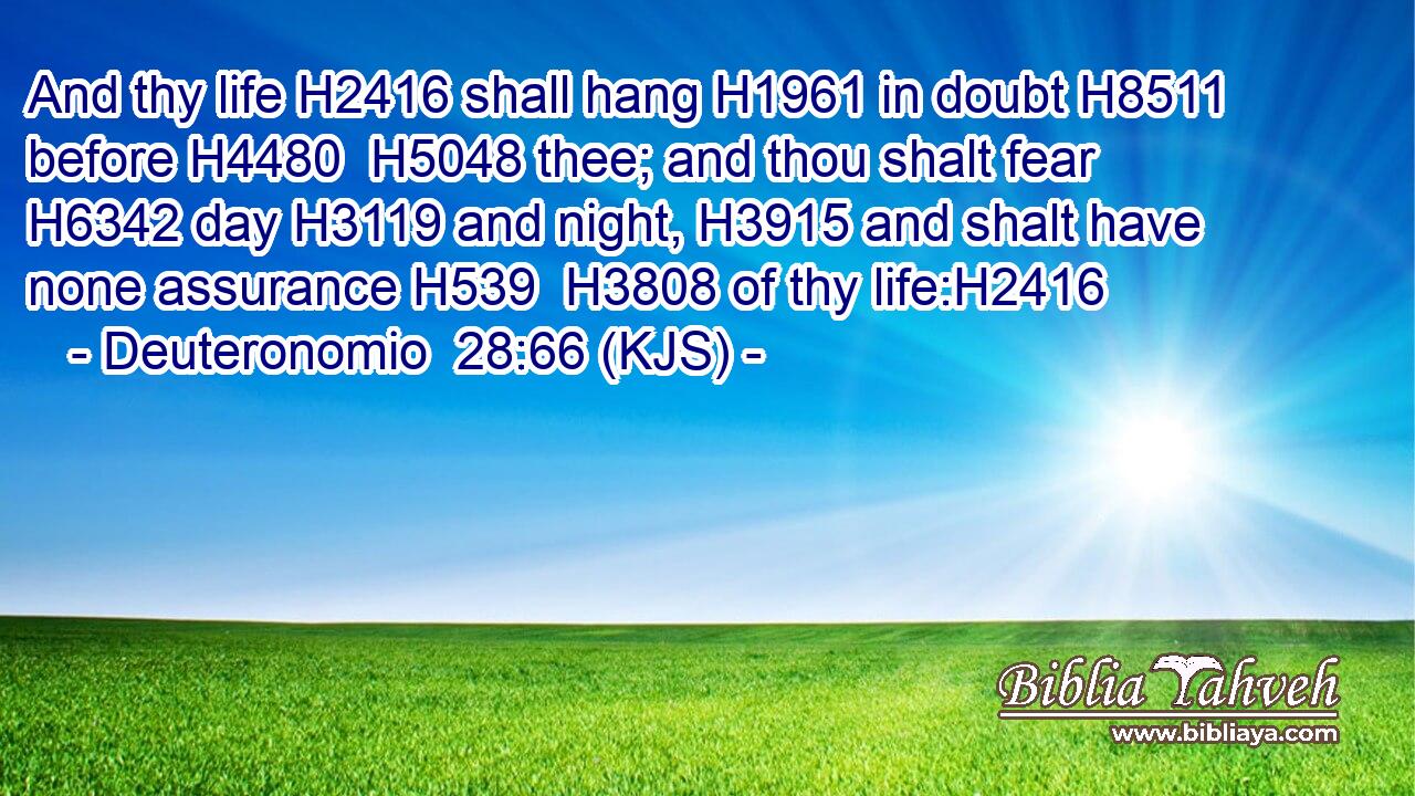 And thy life H2416 shall hang H1961 in doubt H8511 before H4480  H5048 thee; and thou shalt fear H6342 day H3119 and night, H3915 and shalt have none assurance H539  H3808 of thy life:H2416
