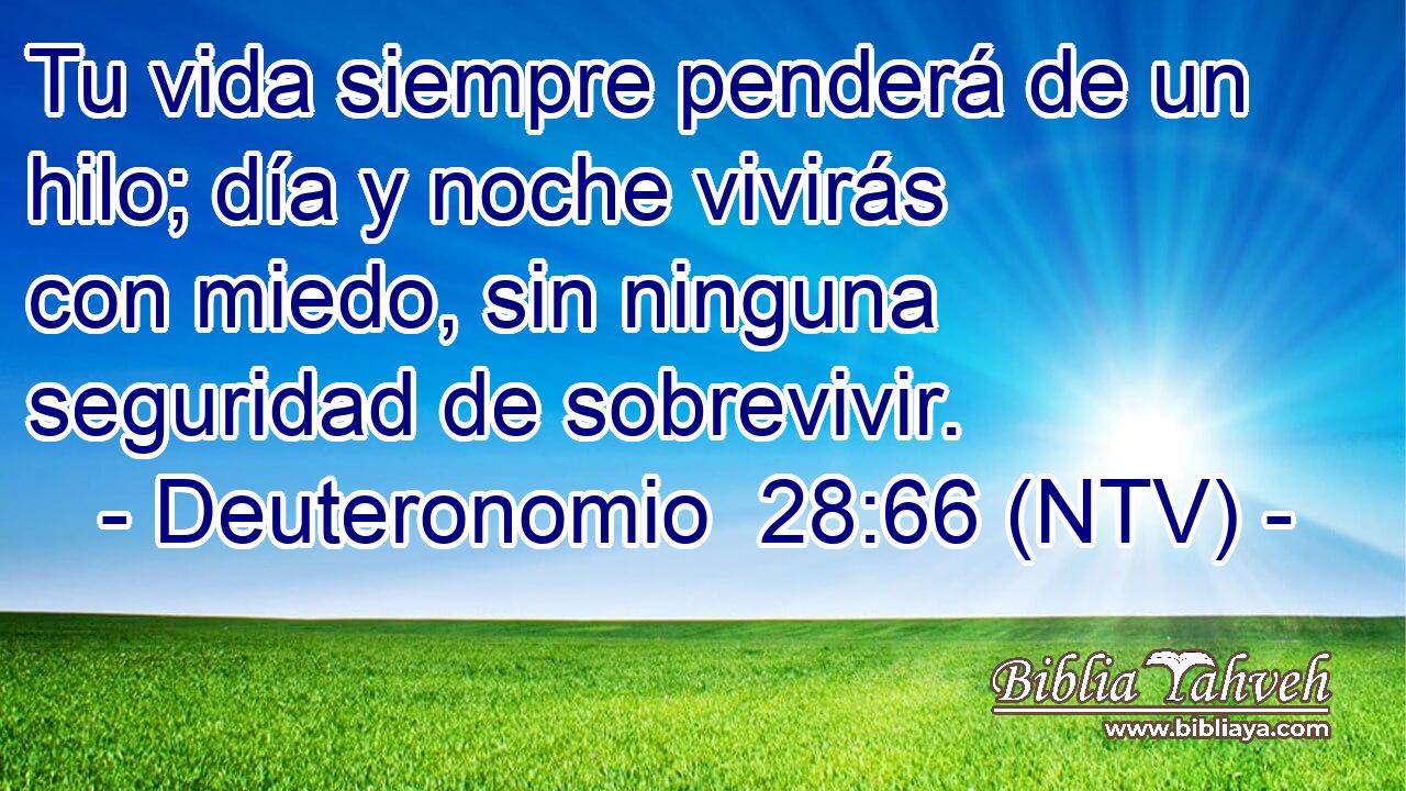 Tu vida siempre penderá de un hilo; día y noche vivirás con miedo, sin ninguna seguridad de sobrevivir.