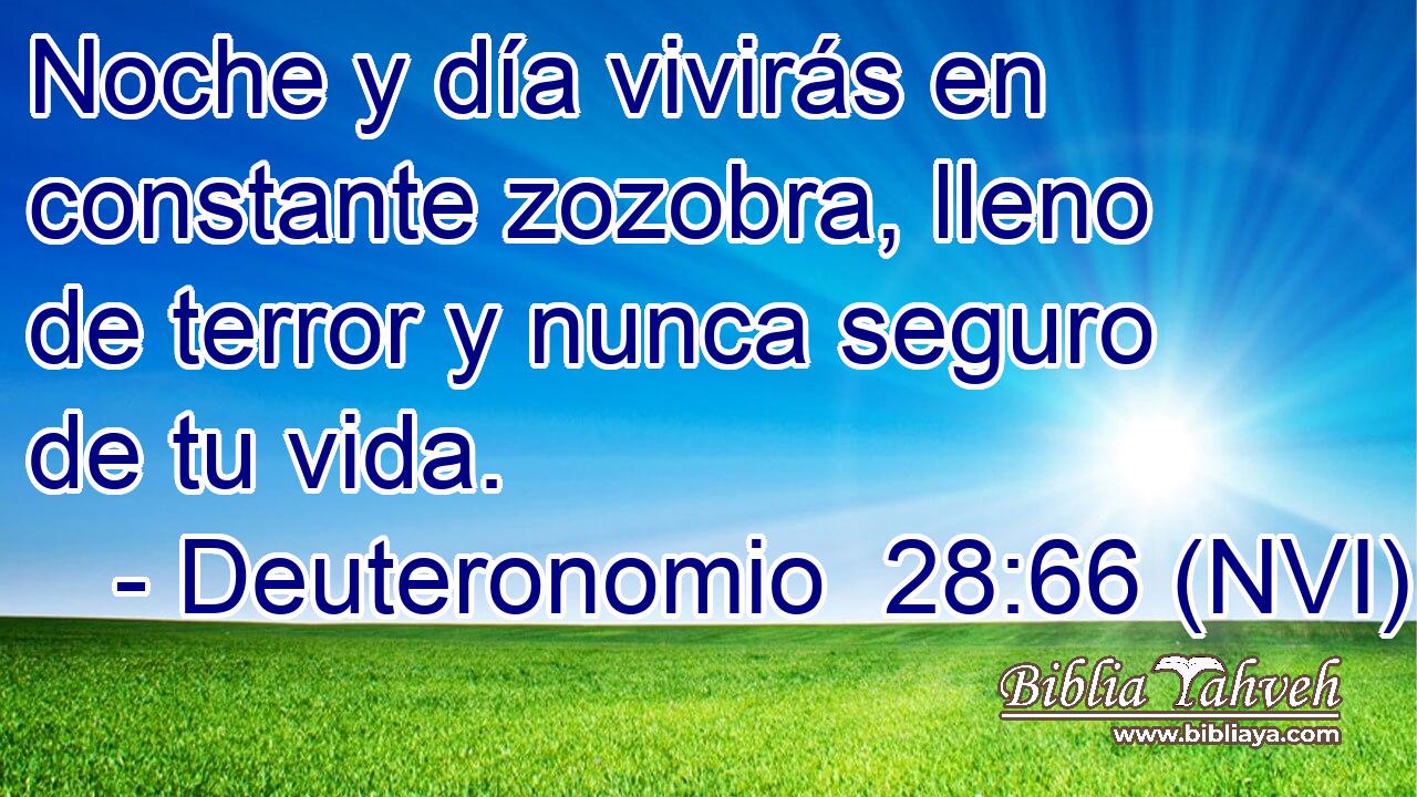  Noche y día vivirás en constante zozobra, lleno de terror y nunca seguro de tu vida. 
