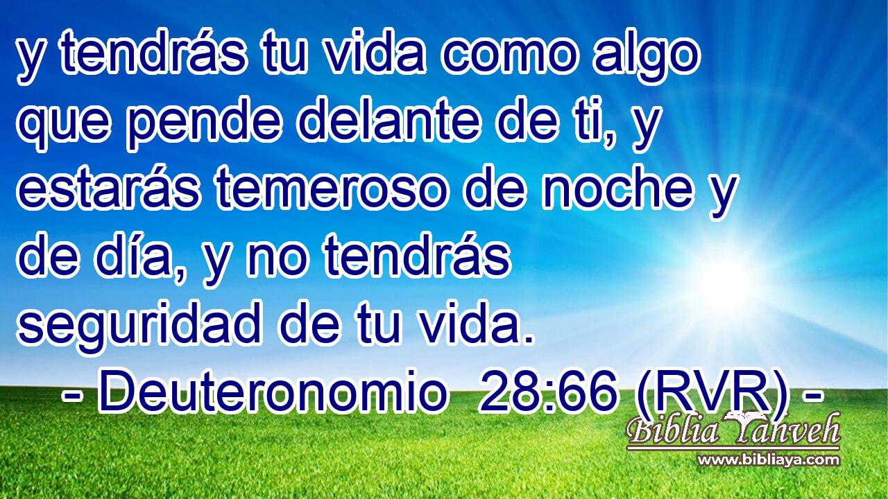 y tendrás tu vida como algo que pende delante de ti, y estarás temeroso de noche y de día, y no tendrás seguridad de tu vida.