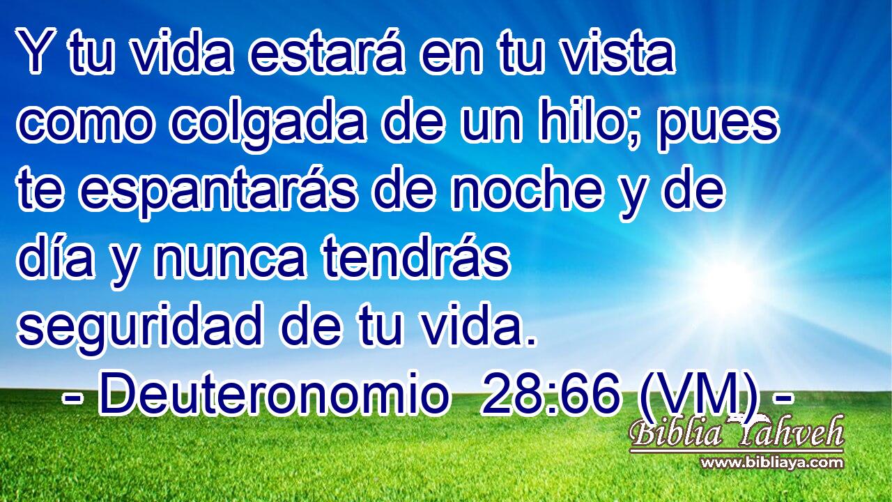  Y tu vida estará en tu vista como colgada de un hilo; pues te espantarás de noche y de día y nunca tendrás seguridad de tu vida. 