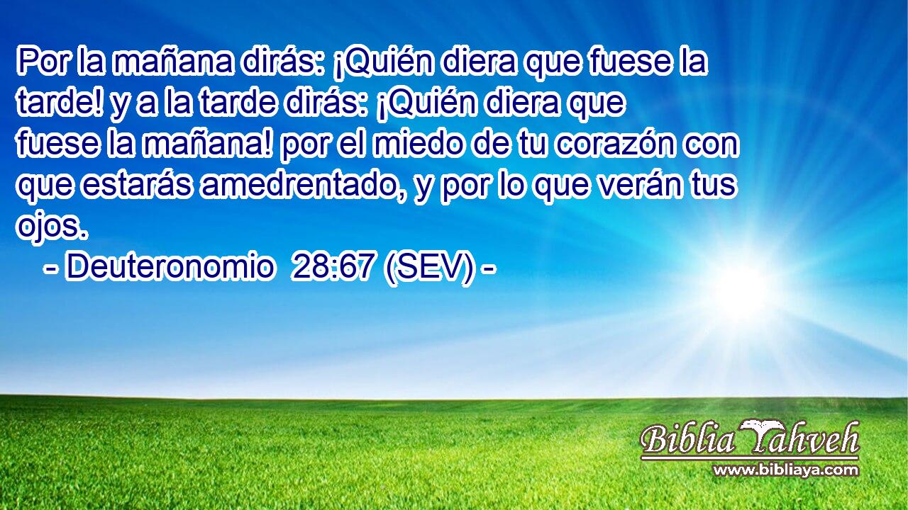 Por la mañana dirás: ¡Quién diera que fuese la tarde! y a la tarde dirás: ¡Quién diera que fuese la mañana! por el miedo de tu corazón con que estarás amedrentado, y por lo que verán tus ojos.