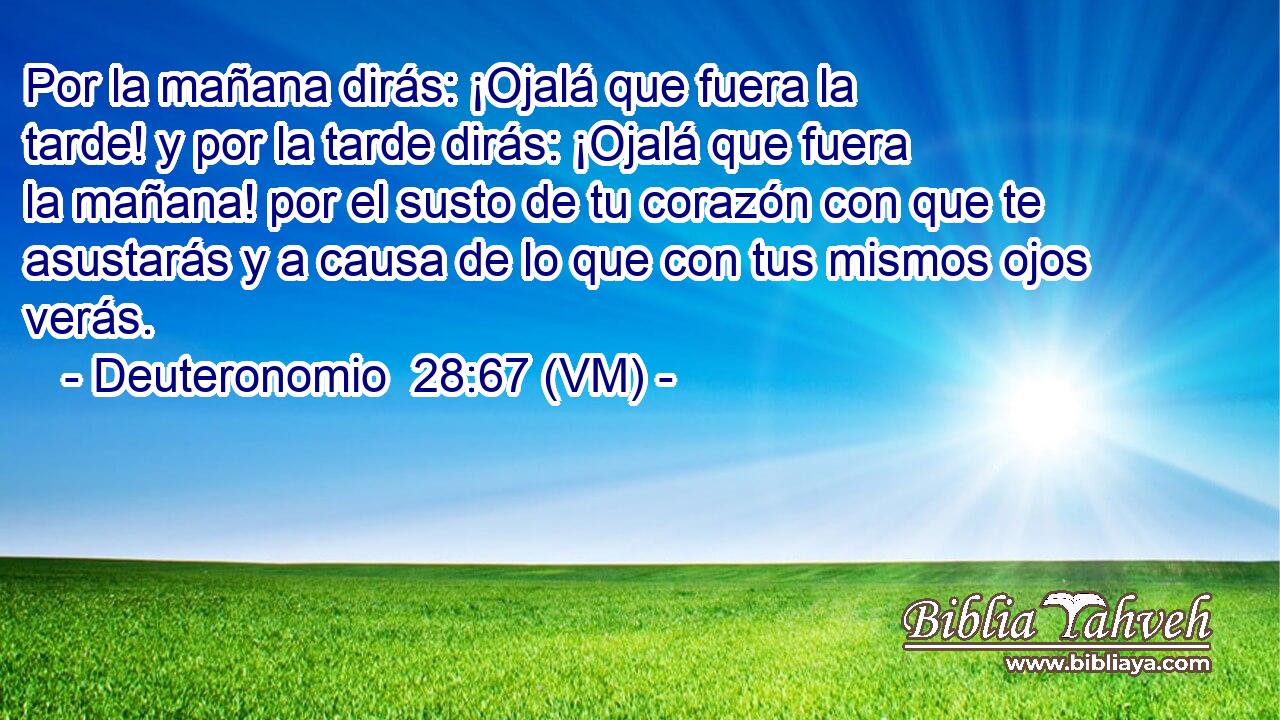  Por la mañana dirás: ¡Ojalá que fuera la tarde! y por la tarde dirás: ¡Ojalá que fuera la mañana! por el susto de tu corazón con que te asustarás y a causa de lo que con tus mismos ojos verás. 