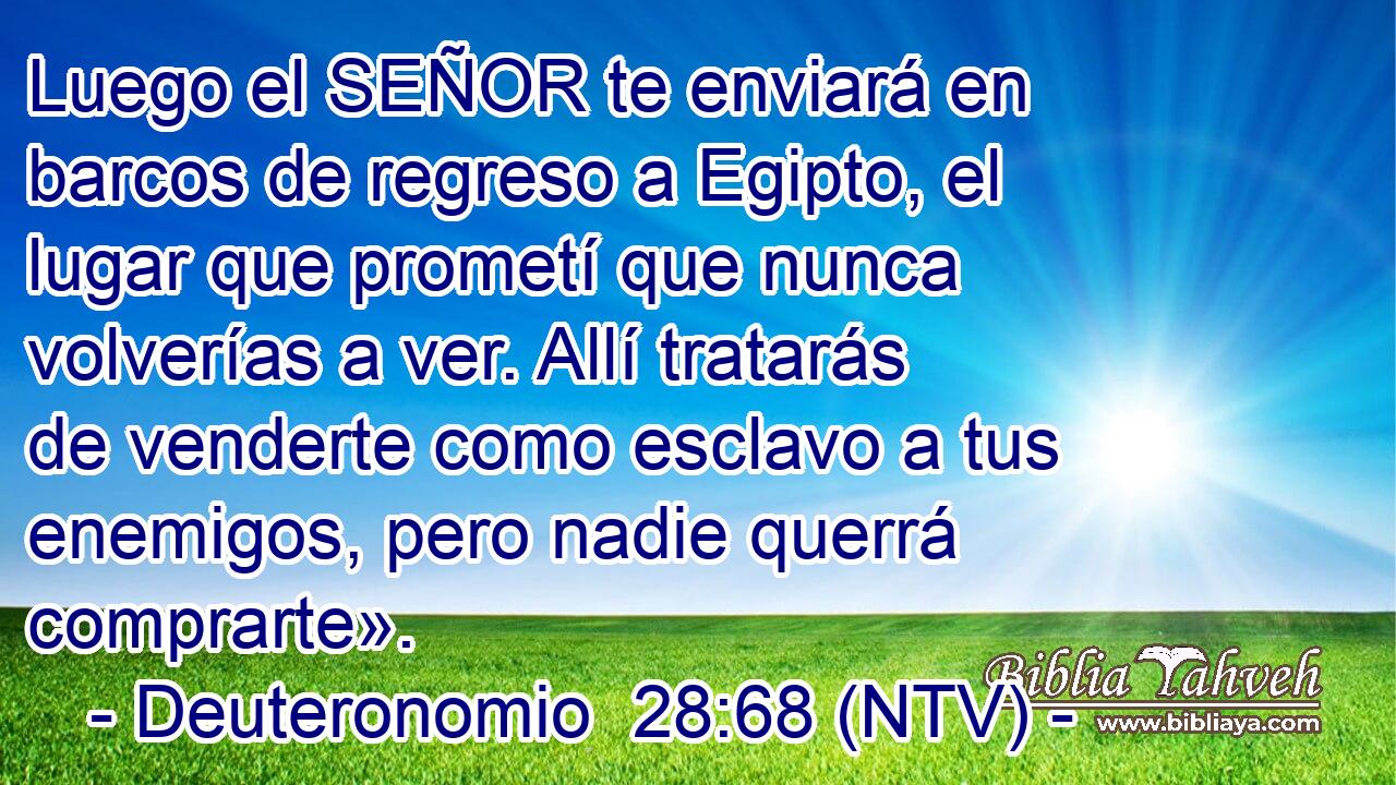 Luego el SEÑOR te enviará en barcos de regreso a Egipto, el lugar que prometí que nunca volverías a ver. Allí tratarás de venderte como esclavo a tus enemigos, pero nadie querrá comprarte».