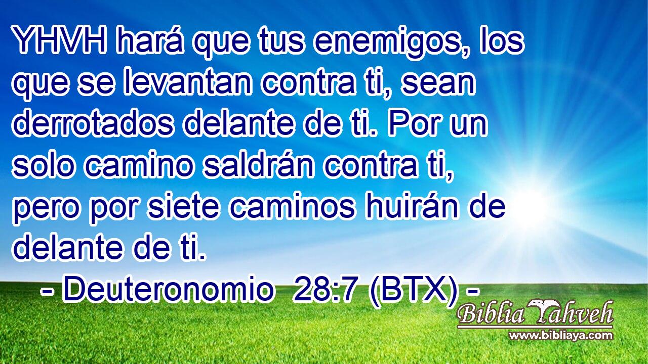 YHVH hará que tus enemigos, los que se levantan contra ti, sean derrotados delante de ti. Por un solo camino saldrán contra ti, pero por siete caminos huirán de delante de ti.