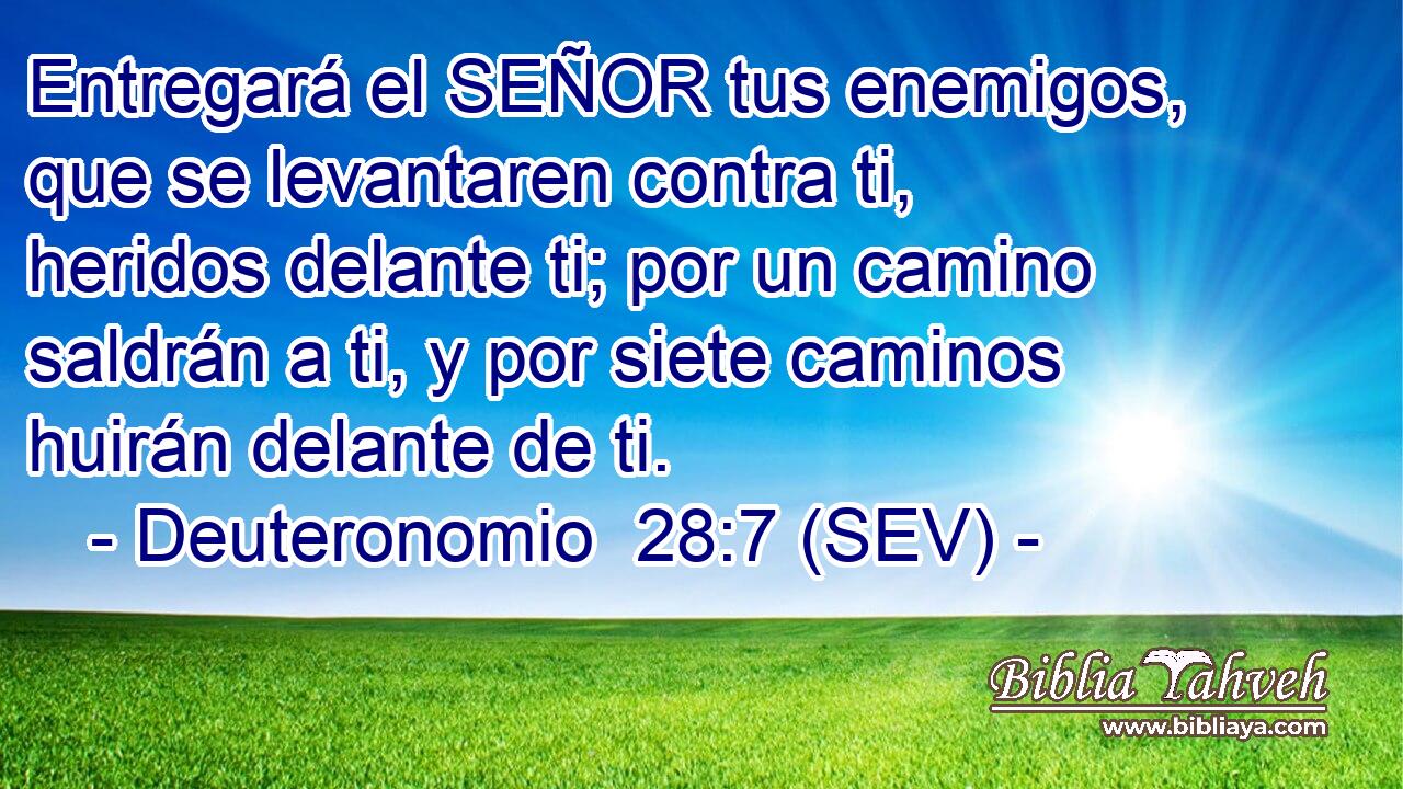 Entregará el SEÑOR tus enemigos, que se levantaren contra ti, heridos delante ti; por un camino saldrán a ti, y por siete caminos huirán delante de ti.