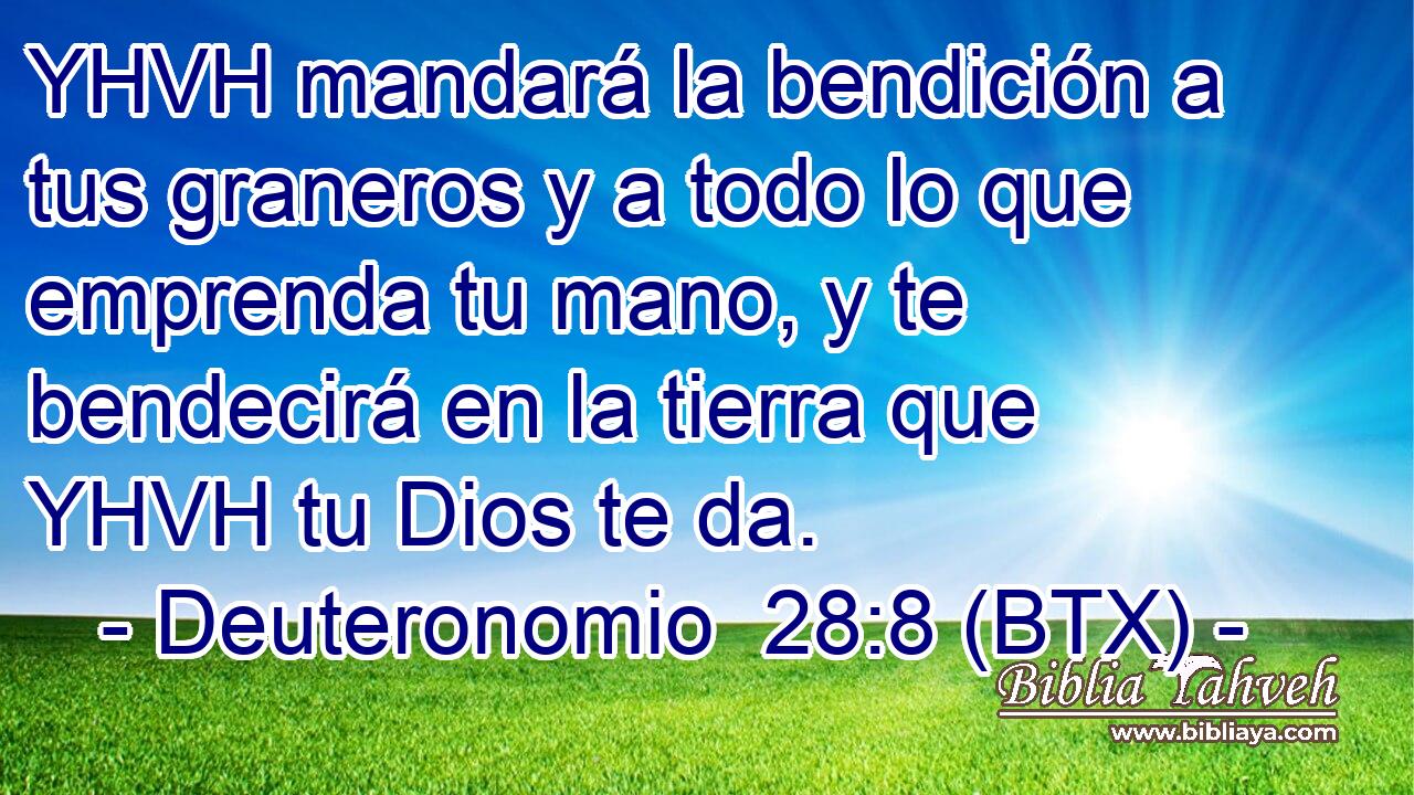 YHVH mandará la bendición a tus graneros y a todo lo que emprenda tu mano, y te bendecirá en la tierra que YHVH tu Dios te da.