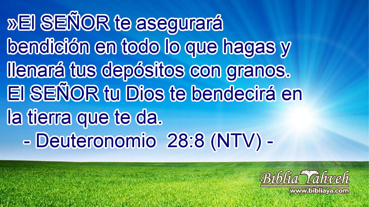 »El SEÑOR te asegurará bendición en todo lo que hagas y llenará tus depósitos con granos. El SEÑOR tu Dios te bendecirá en la tierra que te da.