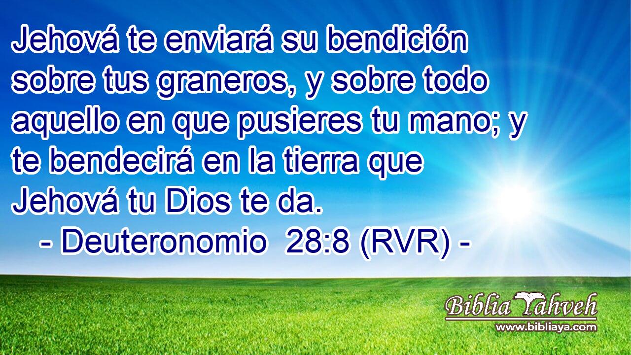 Jehová te enviará su bendición sobre tus graneros, y sobre todo aquello en que pusieres tu mano; y te bendecirá en la tierra que Jehová tu Dios te da.