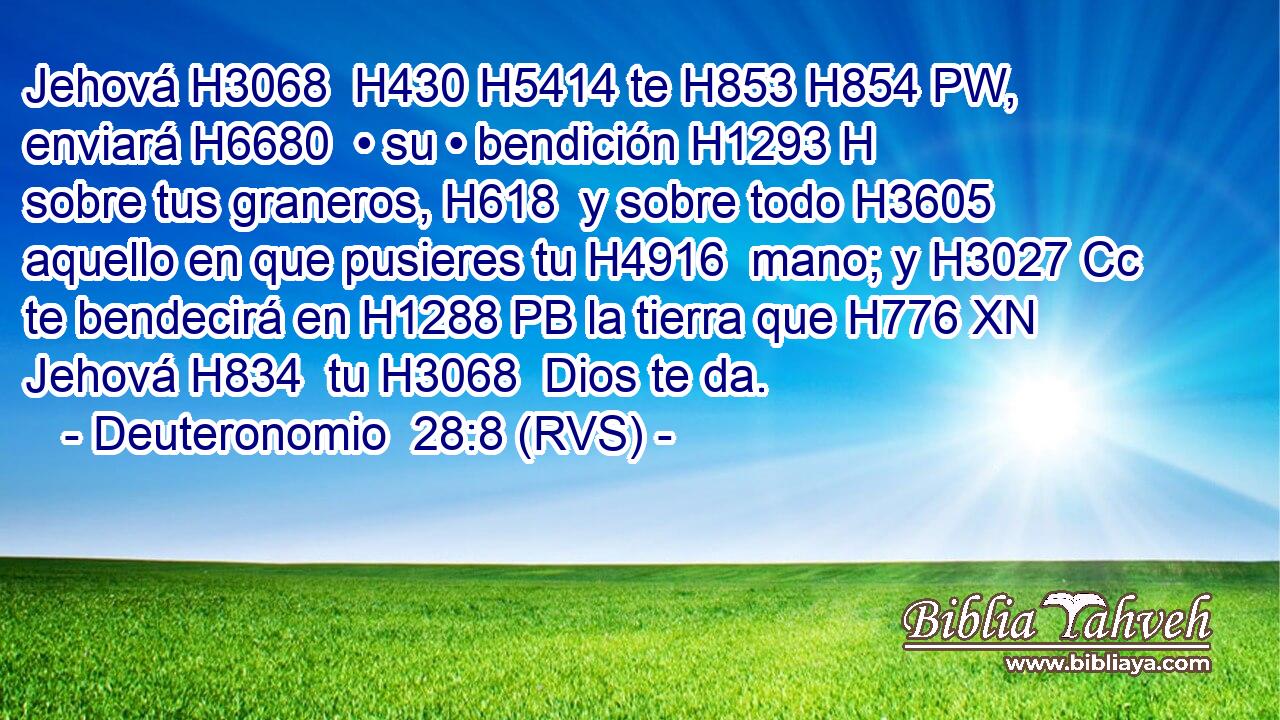 Jehová H3068  H430 H5414 te H853 H854 PW,  enviará H6680  • su • bendición H1293 H sobre tus graneros, H618  y sobre todo H3605  aquello en que pusieres tu H4916  mano; y H3027 Cc te bendecirá en H1288 PB la tierra que H776 XN Jehová H834  tu H3068  Dios te da. 