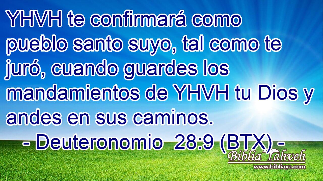 YHVH te confirmará como pueblo santo suyo, tal como te juró, cuando guardes los mandamientos de YHVH tu Dios y andes en sus caminos.