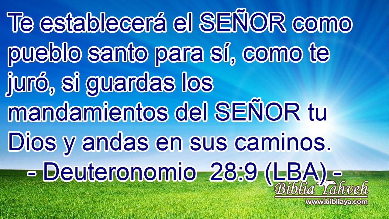 Te establecerá el SEÑOR como pueblo santo para sí, como te juró, si guardas los mandamientos del SEÑOR tu Dios y andas en sus caminos.