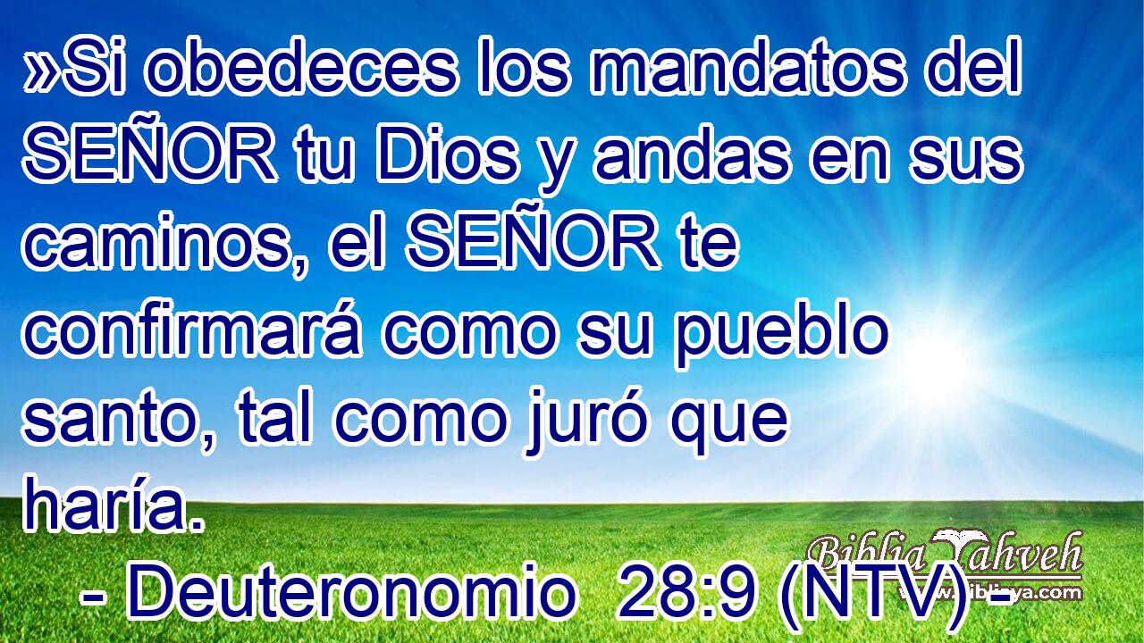 »Si obedeces los mandatos del SEÑOR tu Dios y andas en sus caminos, el SEÑOR te confirmará como su pueblo santo, tal como juró que haría.