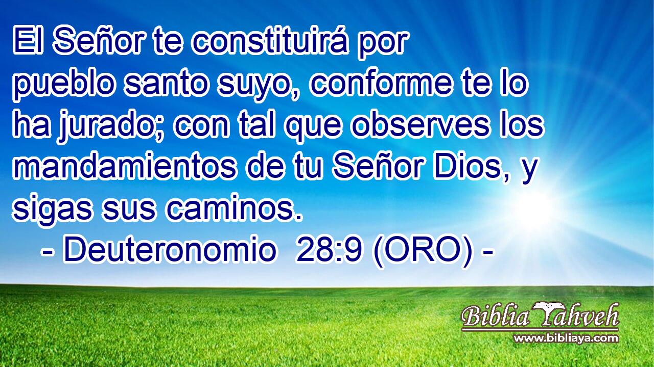  El Señor te constituirá por pueblo santo suyo, conforme te lo ha jurado; con tal que observes los mandamientos de tu Señor Dios, y sigas sus caminos. 
