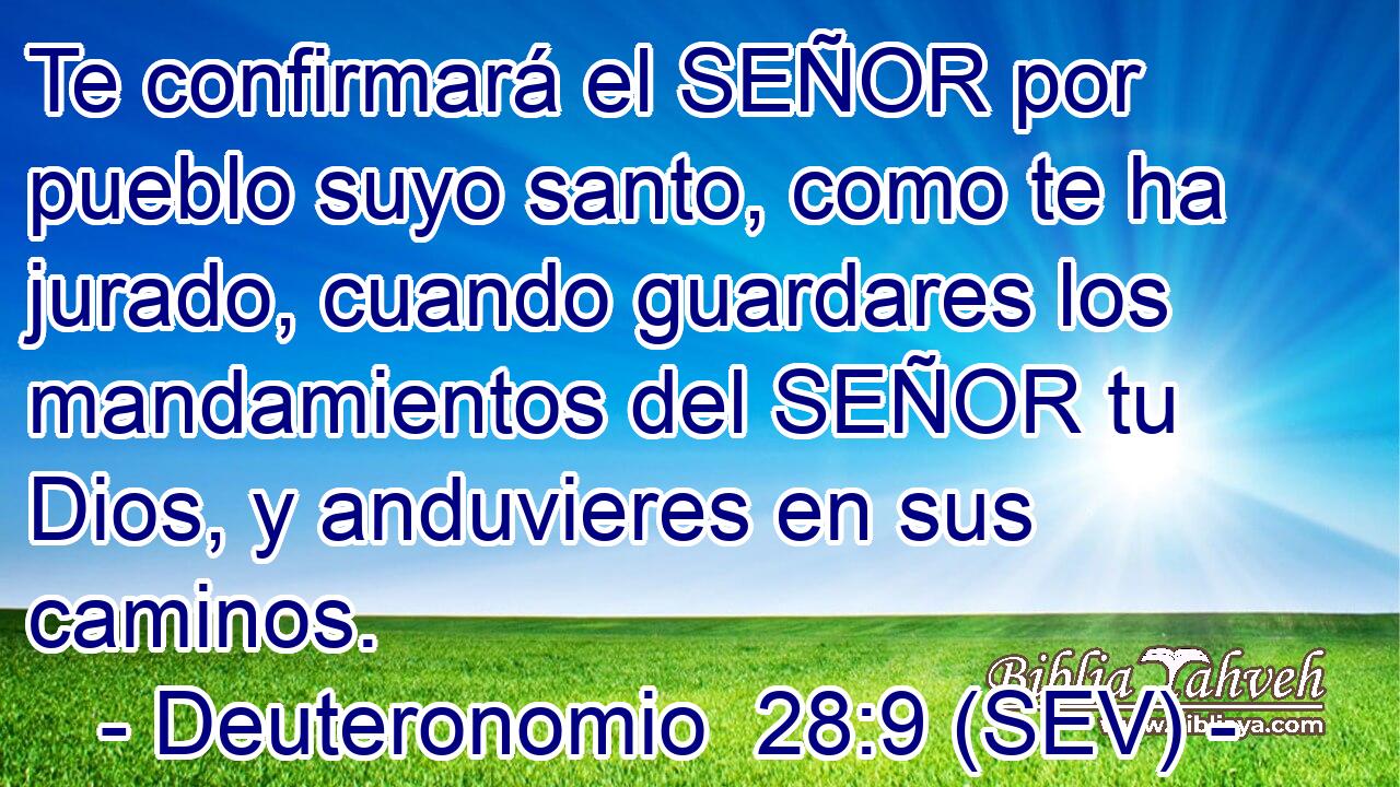 Te confirmará el SEÑOR por pueblo suyo santo, como te ha jurado, cuando guardares los mandamientos del SEÑOR tu Dios, y anduvieres en sus caminos.