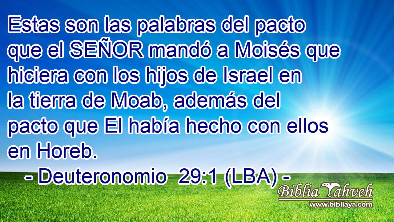 Estas son las palabras del pacto que el SEÑOR mandó a Moisés que hiciera con los hijos de Israel en la tierra de Moab, además del pacto que El había hecho con ellos en Horeb.
