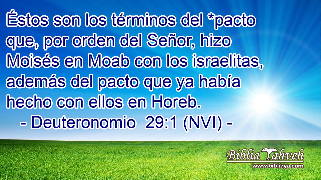  Éstos son los términos del *pacto que, por orden del Señor, hizo Moisés en Moab con los israelitas, además del pacto que ya había hecho con ellos en Horeb. 
