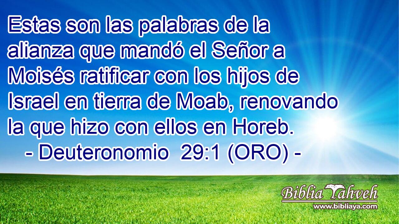  Estas son las palabras de la alianza que mandó el Señor a Moisés ratificar con los hijos de Israel en tierra de Moab, renovando la que hizo con ellos en Horeb. 