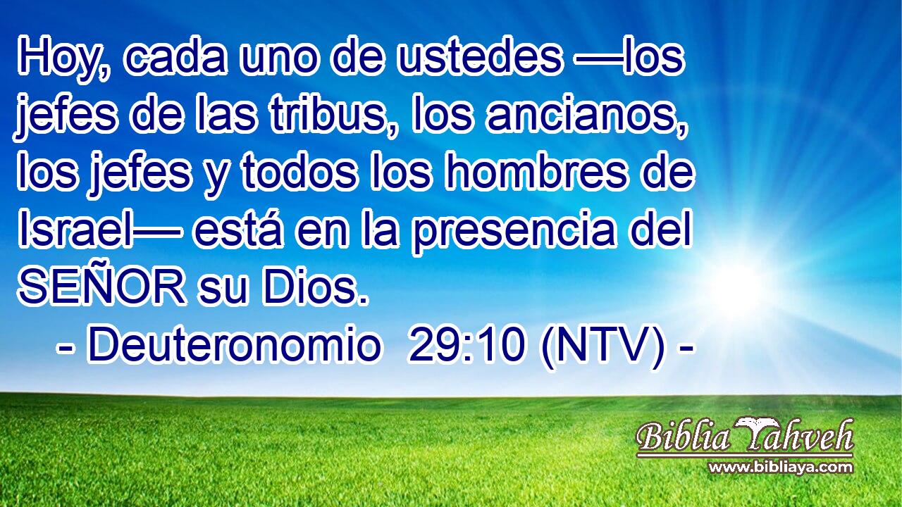 Hoy, cada uno de ustedes —los jefes de las tribus, los ancianos, los jefes y todos los hombres de Israel— está en la presencia del SEÑOR su Dios.