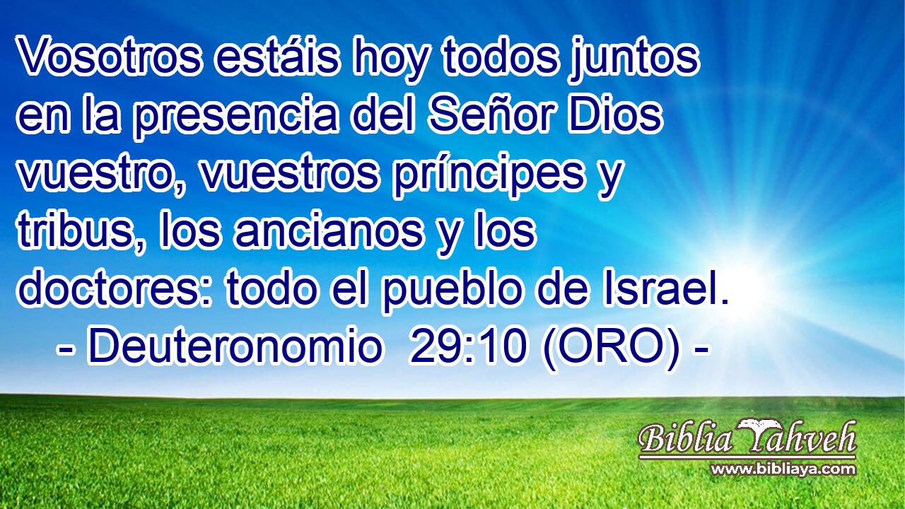  Vosotros estáis hoy todos juntos en la presencia del Señor Dios vuestro, vuestros príncipes y tribus, los ancianos y los doctores: todo el pueblo de Israel. 