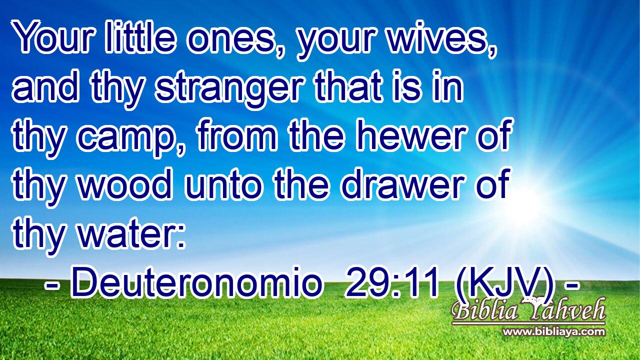 Your little ones, your wives, and thy stranger that is in thy camp, from the hewer of thy wood unto the drawer of thy water: