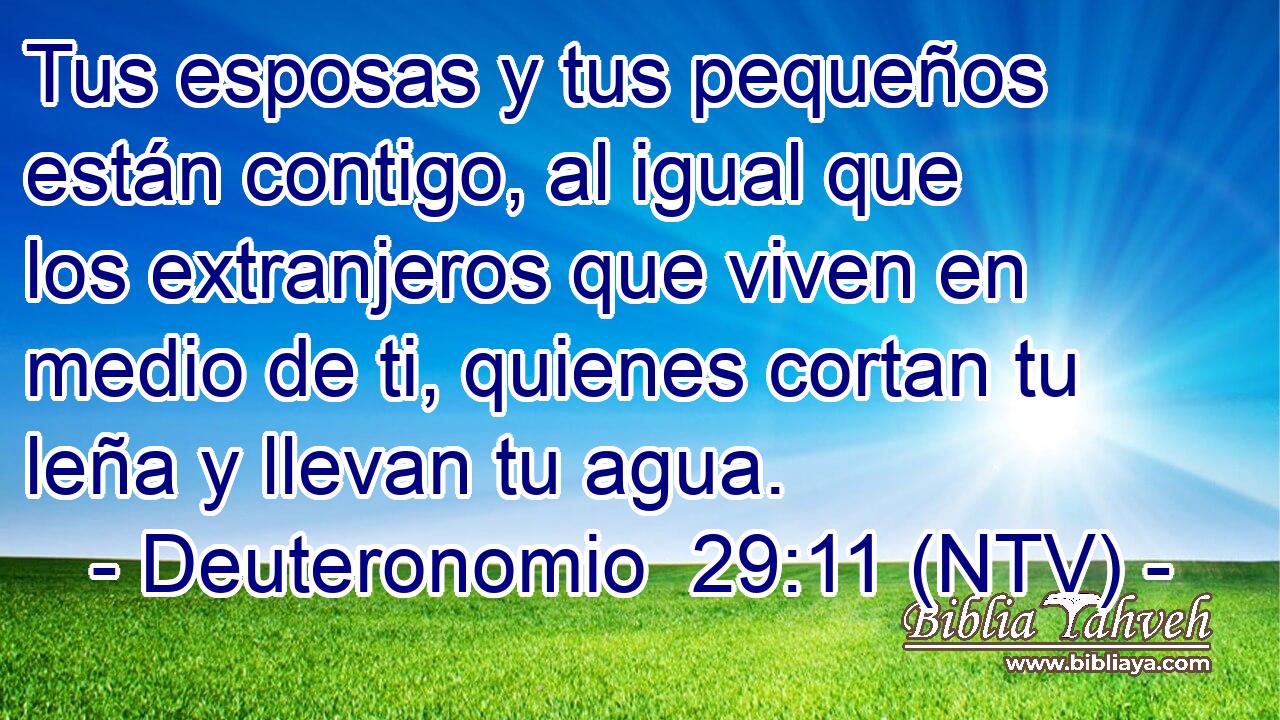 Tus esposas y tus pequeños están contigo, al igual que los extranjeros que viven en medio de ti, quienes cortan tu leña y llevan tu agua.