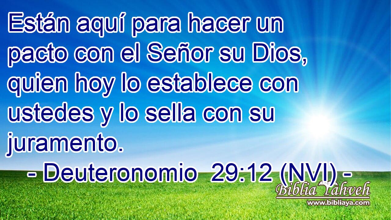  Están aquí para hacer un pacto con el Señor su Dios, quien hoy lo establece con ustedes y lo sella con su juramento. 