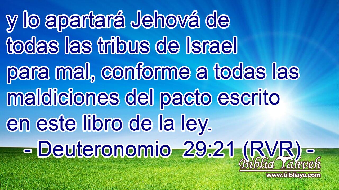 y lo apartará Jehová de todas las tribus de Israel para mal, conforme a todas las maldiciones del pacto escrito en este libro de la ley.
