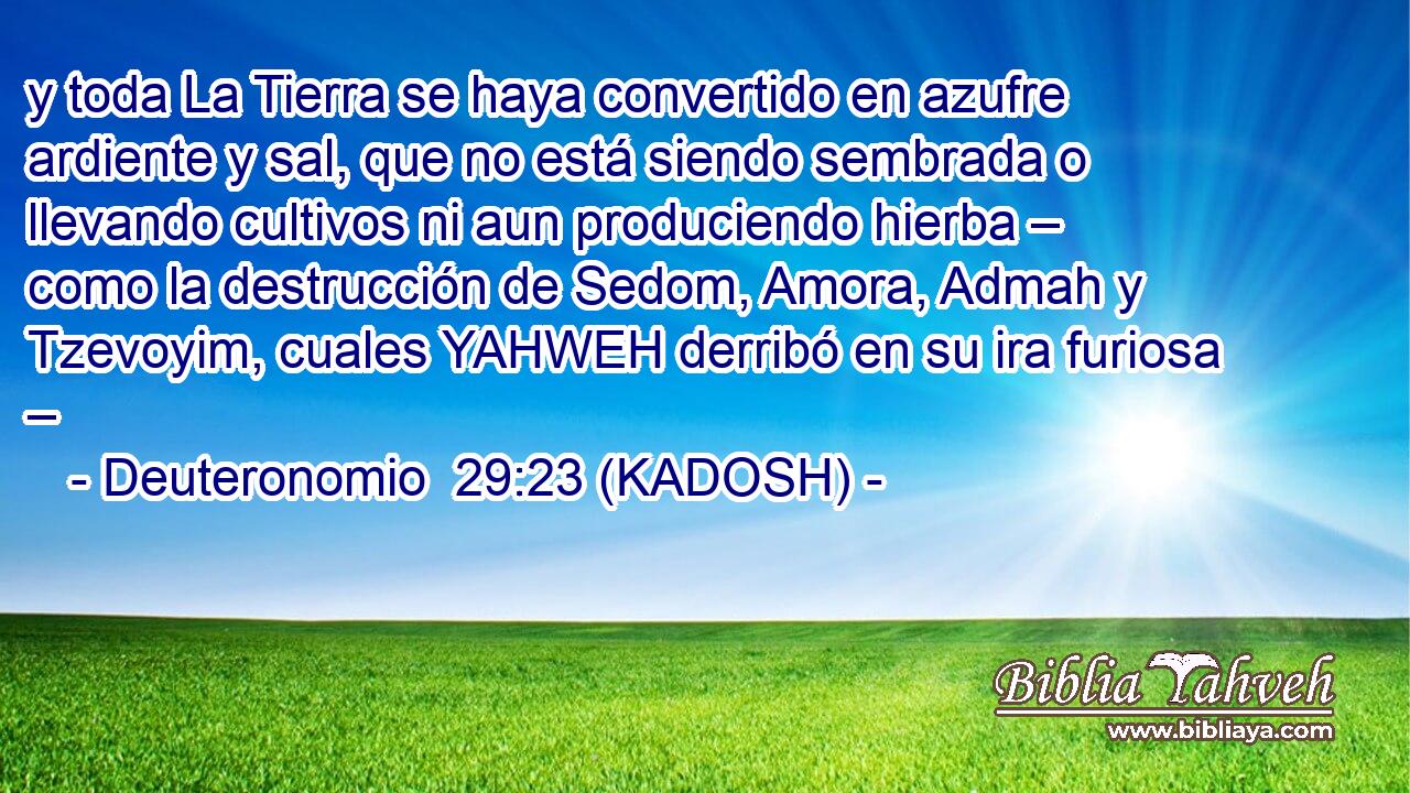  y toda La Tierra se haya convertido en azufre ardiente y sal, que no está siendo sembrada o llevando cultivos ni aun produciendo hierba – como la destrucción de Sedom, Amora, Admah y Tzevoyim, cuales YAHWEH derribó en su ira furiosa – 