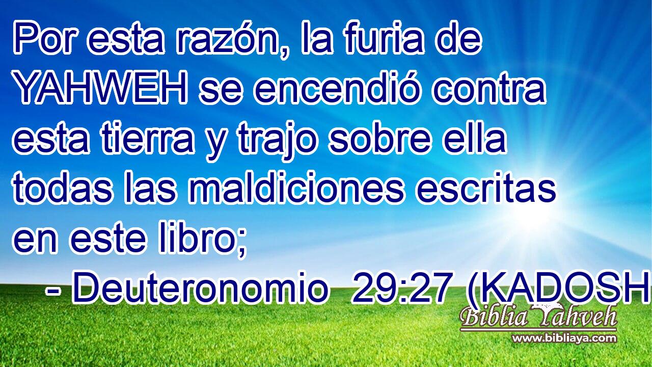  Por esta razón, la furia de YAHWEH se encendió contra esta tierra y trajo sobre ella todas las maldiciones escritas en este libro; 