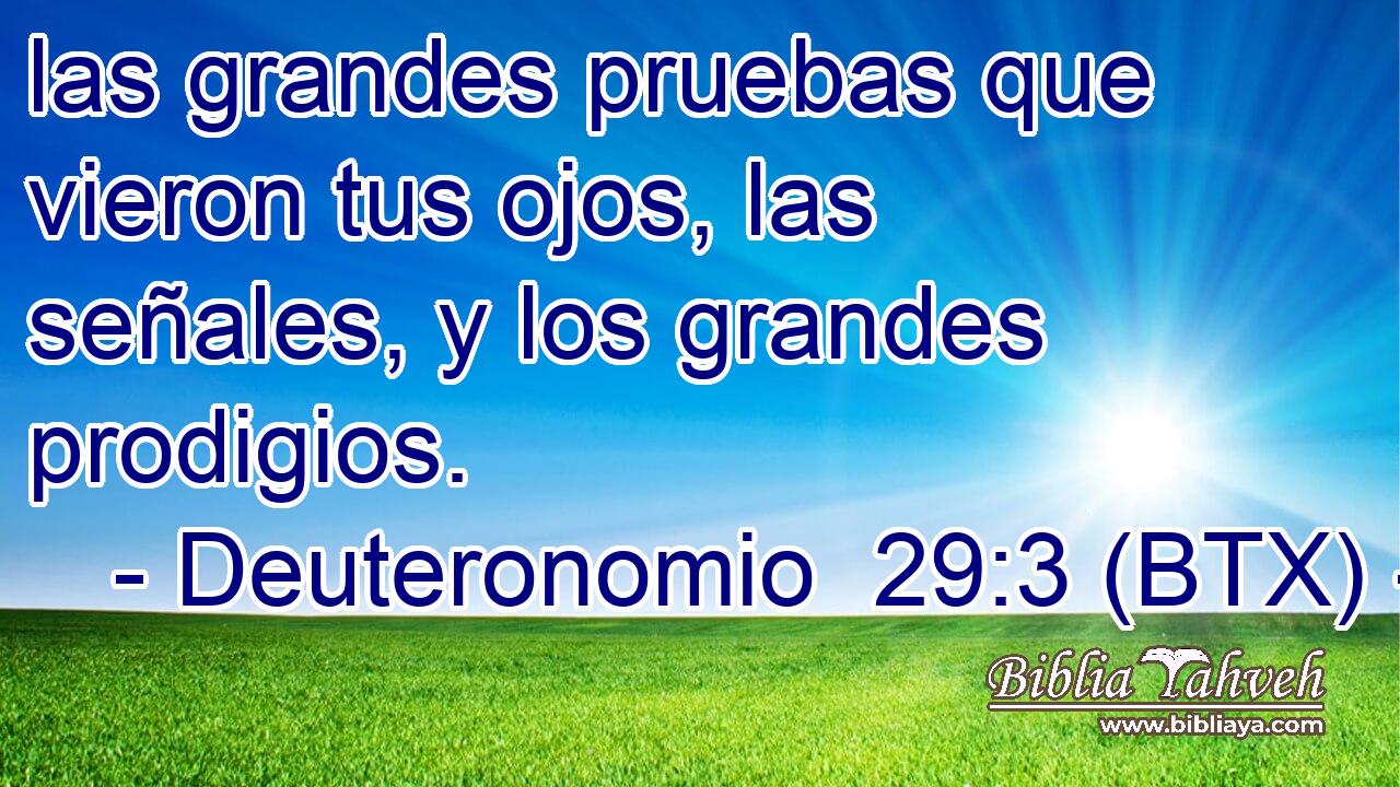 las grandes pruebas que vieron tus ojos, las señales, y los grandes prodigios.