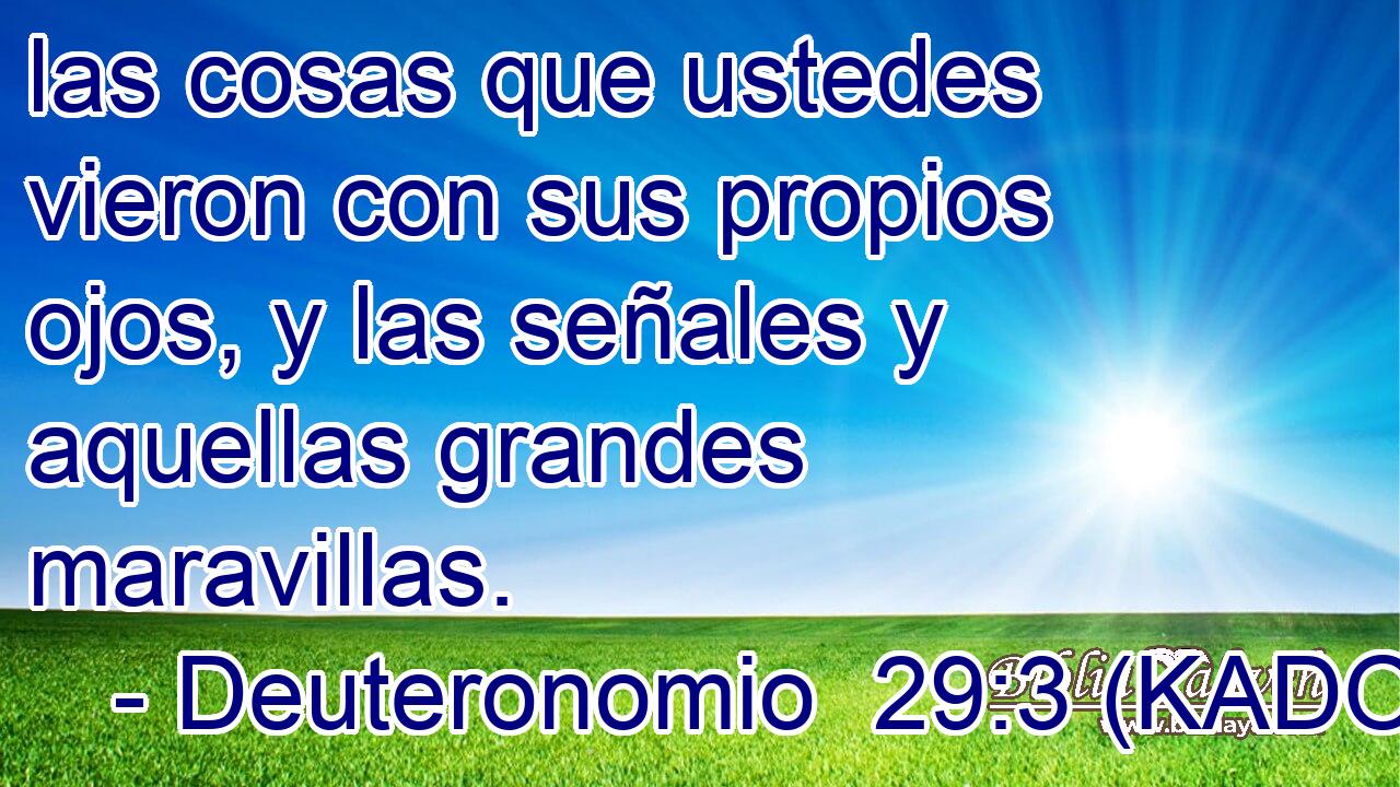  las cosas que ustedes vieron con sus propios ojos, y las señales y aquellas grandes maravillas. 