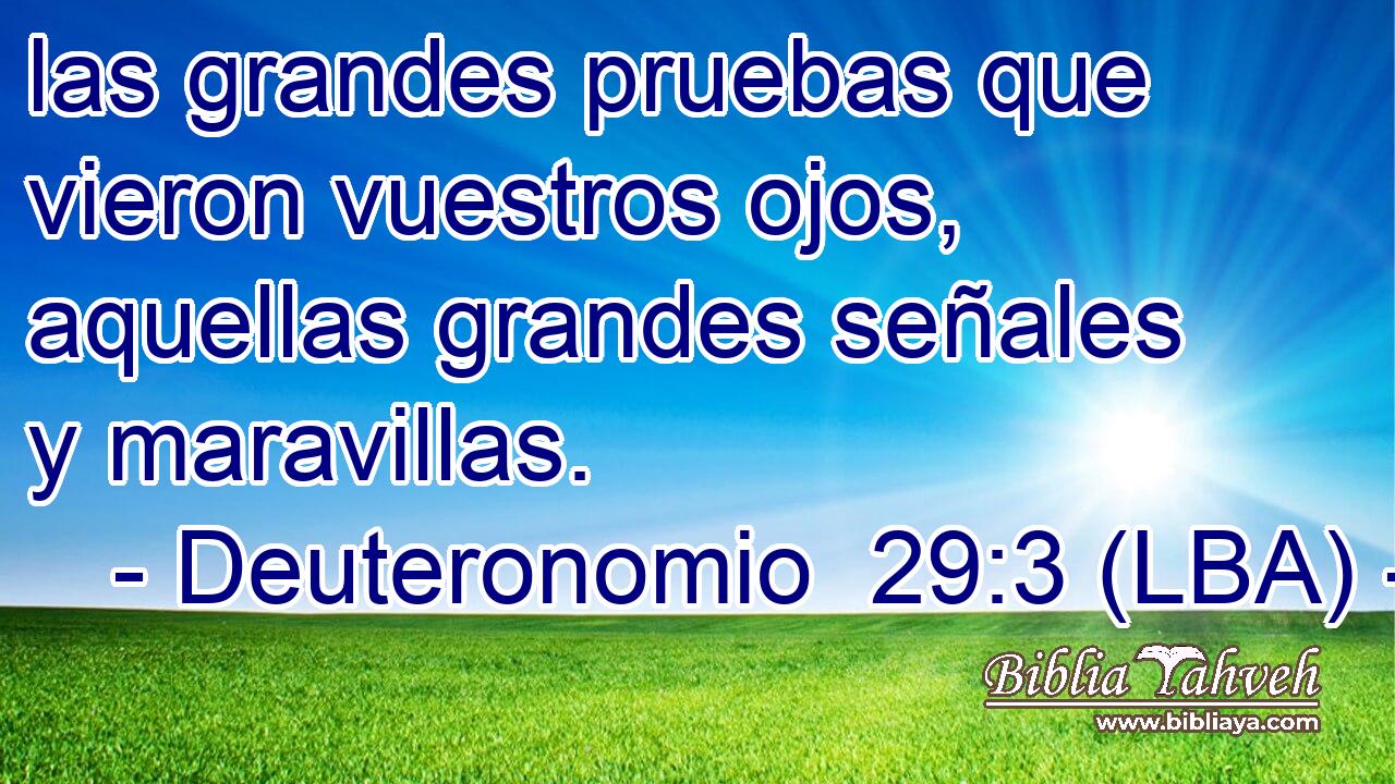 las grandes pruebas que vieron vuestros ojos, aquellas grandes señales y maravillas.